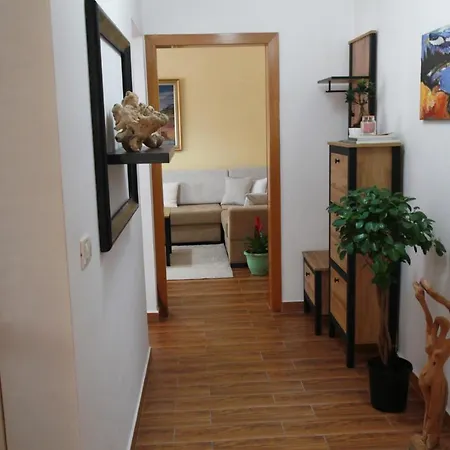 Cozy Daire Tiran
